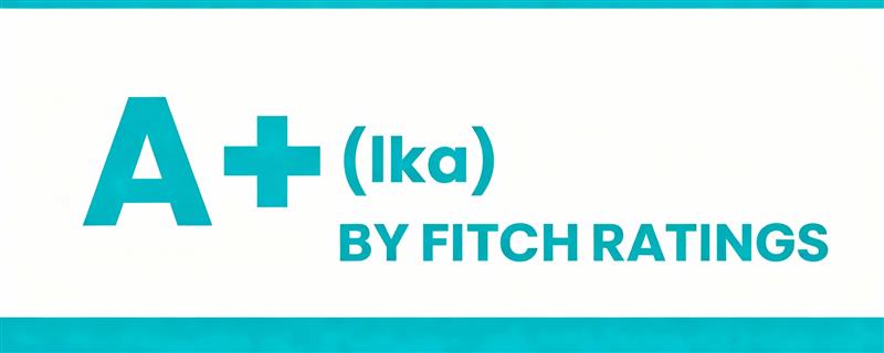 Fitch ratings